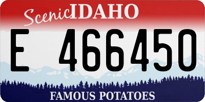ID license plate E466450