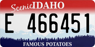 ID license plate E466451