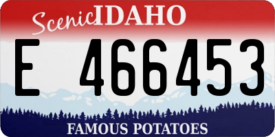 ID license plate E466453