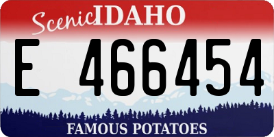 ID license plate E466454