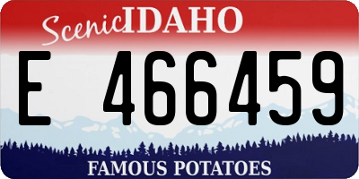 ID license plate E466459