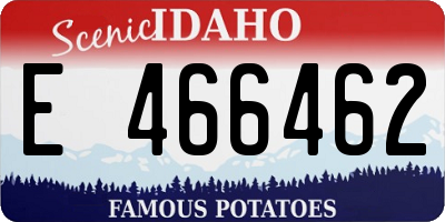 ID license plate E466462
