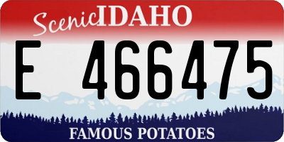 ID license plate E466475