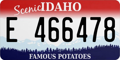 ID license plate E466478
