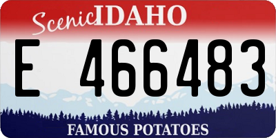 ID license plate E466483