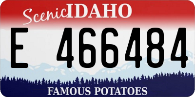 ID license plate E466484