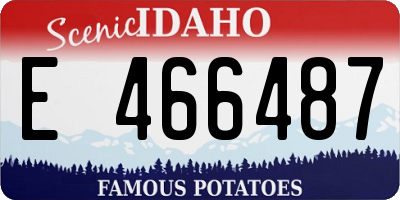 ID license plate E466487