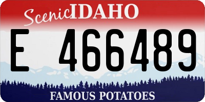 ID license plate E466489