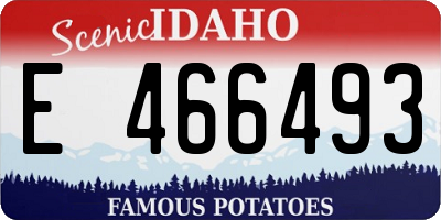 ID license plate E466493
