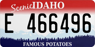 ID license plate E466496
