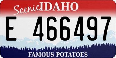 ID license plate E466497
