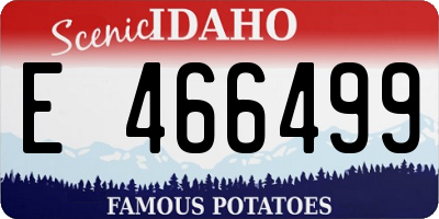 ID license plate E466499