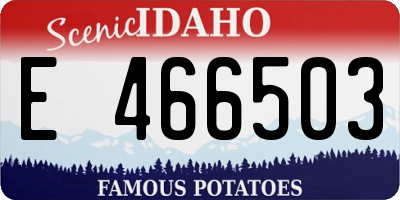ID license plate E466503