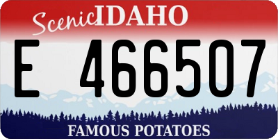 ID license plate E466507