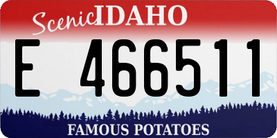 ID license plate E466511
