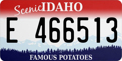 ID license plate E466513