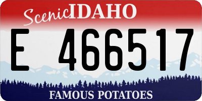 ID license plate E466517