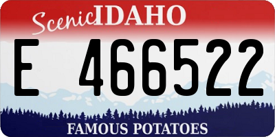 ID license plate E466522