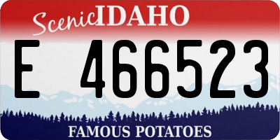 ID license plate E466523