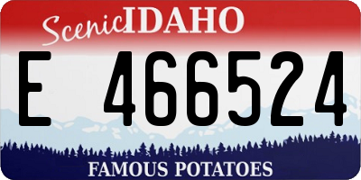 ID license plate E466524