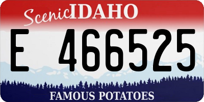 ID license plate E466525