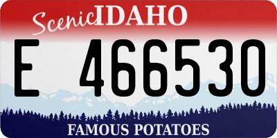 ID license plate E466530