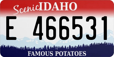 ID license plate E466531