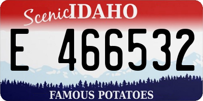 ID license plate E466532