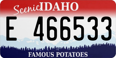 ID license plate E466533