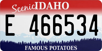 ID license plate E466534