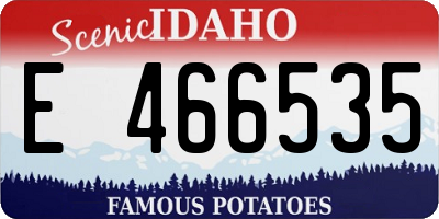 ID license plate E466535