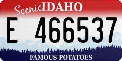 ID license plate E466537