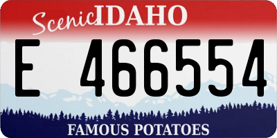 ID license plate E466554