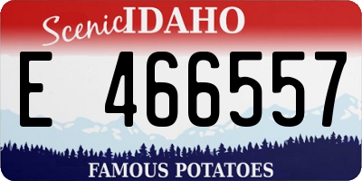 ID license plate E466557