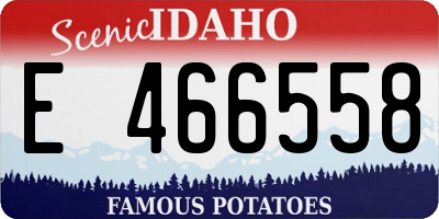 ID license plate E466558