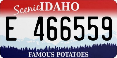 ID license plate E466559