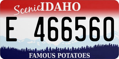 ID license plate E466560