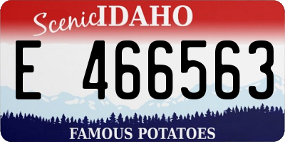 ID license plate E466563