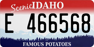 ID license plate E466568
