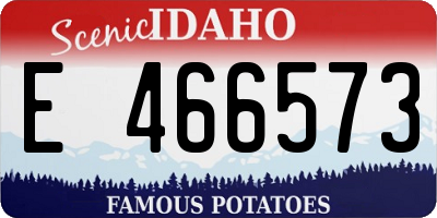 ID license plate E466573
