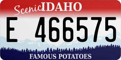 ID license plate E466575