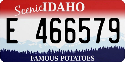 ID license plate E466579