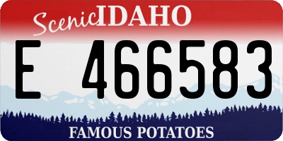 ID license plate E466583
