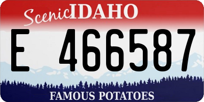 ID license plate E466587