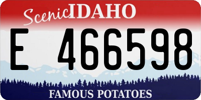 ID license plate E466598