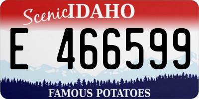 ID license plate E466599