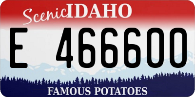 ID license plate E466600