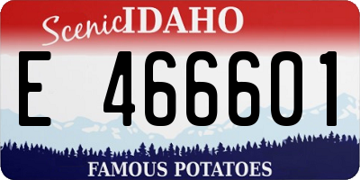 ID license plate E466601