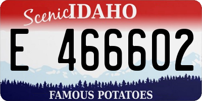 ID license plate E466602