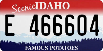ID license plate E466604